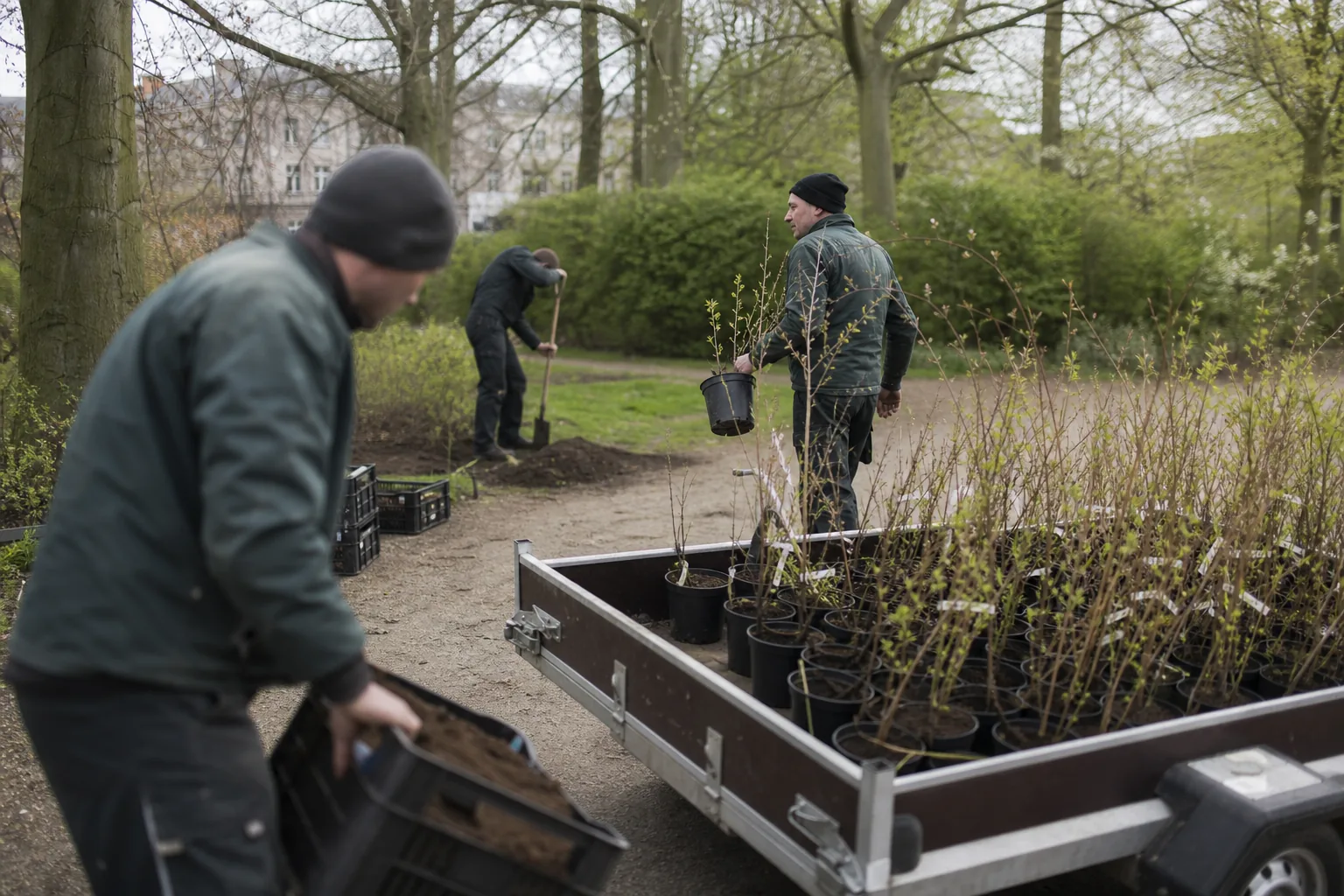 Groenwerk in de Nederlandse buitenruimte. Beeld bij het artikel: In welke stappen voer je partijtracering in zonder dat het kweekseizoen stilvalt?